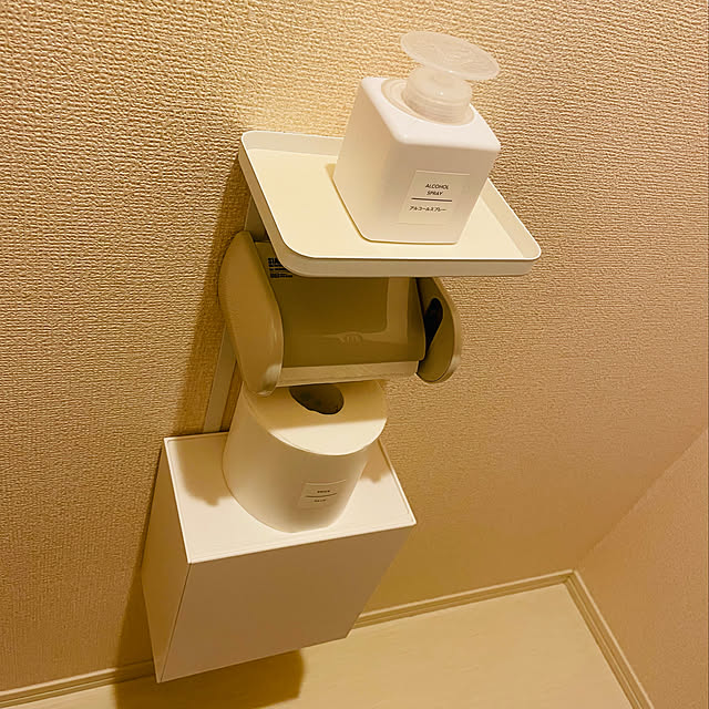 トイレットペーパーホルダー,収納,賃貸,アパート,賃貸アパート,d-room,Droom,山崎実業,ダイワハウスの賃貸アパート,D-room 賃貸,tower(タワー),Bathroom na_y_o04の部屋