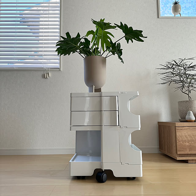 収納,ボビーワゴン,ナチュラル,おしゃれな家にしたい,建売,建売住宅,グリーンのある暮らし,窓辺のインテリア,リビング,買ってよかったもの,セローム,Lounge mguuuuの部屋