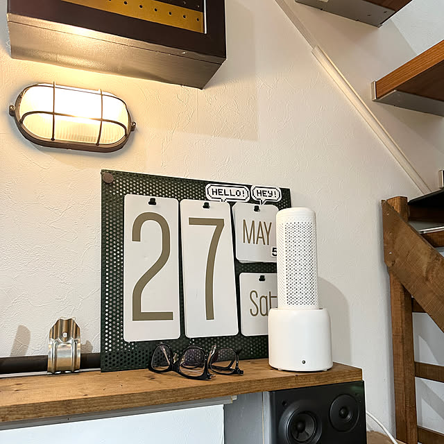 ハリネズミのいる暮らし,ペットにも安心,除湿機,湿気対策,My Shelf shiratamaの部屋