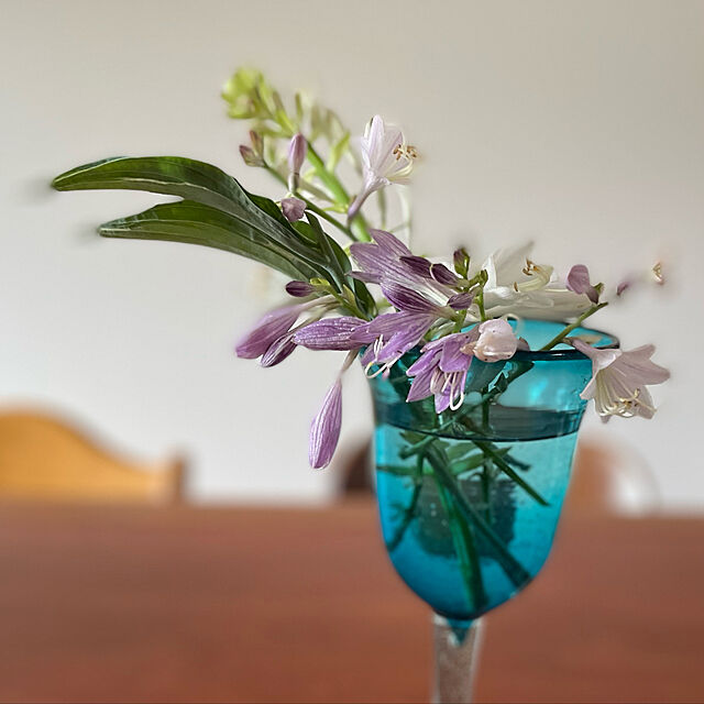 ゴブレット,ホスタの花,初夏,植物のある暮らし,逢,My Desk,涼を感じる暮らし buchiの部屋