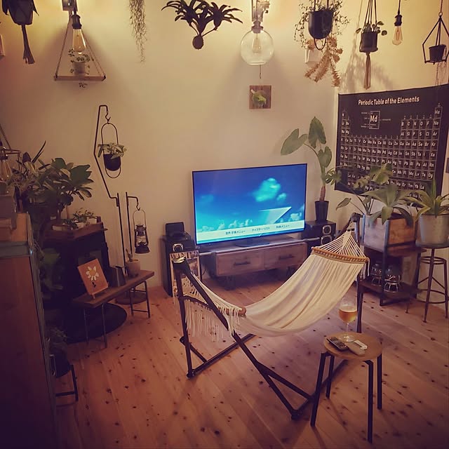 Lounge,折りたたみ式,ハンモック,無垢フローリング,ペレットストーブ,植中毒,観葉植物のある暮らし,吹き抜けリビング rimoleoの部屋