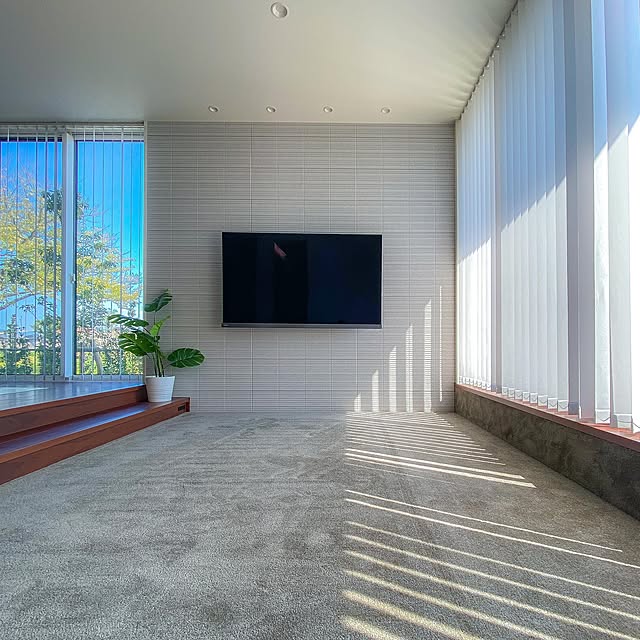 サペリの床,観葉植物,植物のある暮らし,壁掛けテレビ,ダウンフロア,積水ハウス,戸建て,4LDK,Lounge,グレージュ,ベルバーン,積水ハウスシャーウッド,バーチカルブラインド,カーペット,アクセントウォール,シンプルモダン,ホテルライク,スマートホーム,南向きの窓,南向きのリビング,大開口リビング,大開口 窓,レグザ65インチ,REGZA 65インチ,ピットリビング,ニチベイ MONOTOLIFEの部屋
