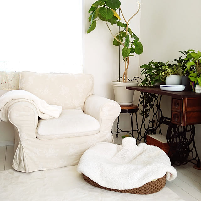 Lounge,ミシン台テーブル,ウンベラータ,グリーンのある暮らし,かご収納,IKEA,salut ! Happy-smileの部屋