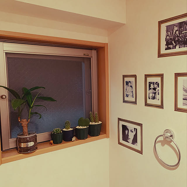観葉植物,グリーン,サボテン,一人暮らし,ハイドロカルチャー,名画ポスター,モノトーン,Bathroom erkの部屋