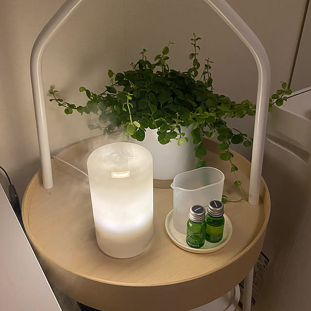 おすすめアロマディフューザー100選 無印 ニトリ フランフランなど Roomclip Mag 暮らしとインテリアのwebマガジン