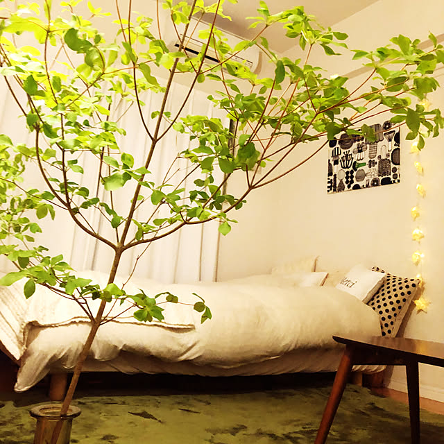 Bedroom,marimekko,ドウダンツツジ,1K,観葉植物,花のある暮らし,一人暮らし,グリーンのある暮らし,みどりのある暮らし,無印良品,ベッド,マリメッコ,クッション,ナチュラル,枝物 akincoの部屋