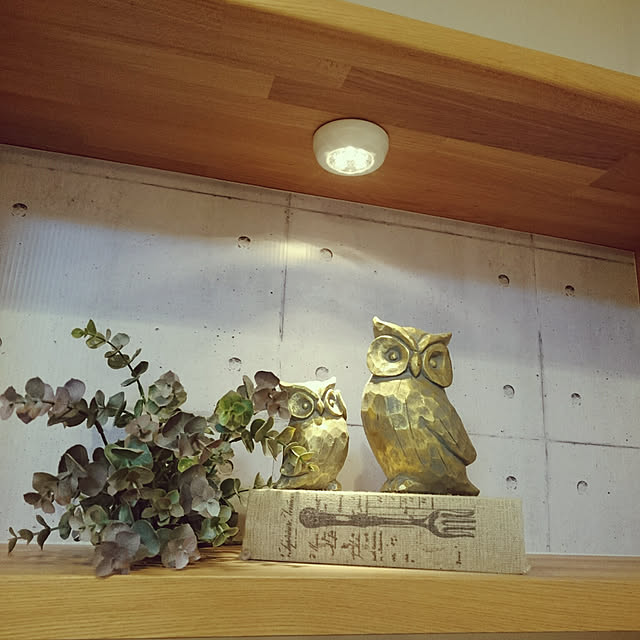 My Shelf,イケア75,IKEA 照明,IKEA,ラムスタLEDミニランプ,ramsta,ディスプレイコーナー,ライトアップ♡,いなざうるす屋さん♡,すっきり暮らしたい,プラダンにリメイクシート,DAISOリメイクシート,コンクリート柄リメイクシート,ふくろうの置物,ホワイト、ブラック、レッド３色展開,マグネットも内蔵 wakaba223の部屋