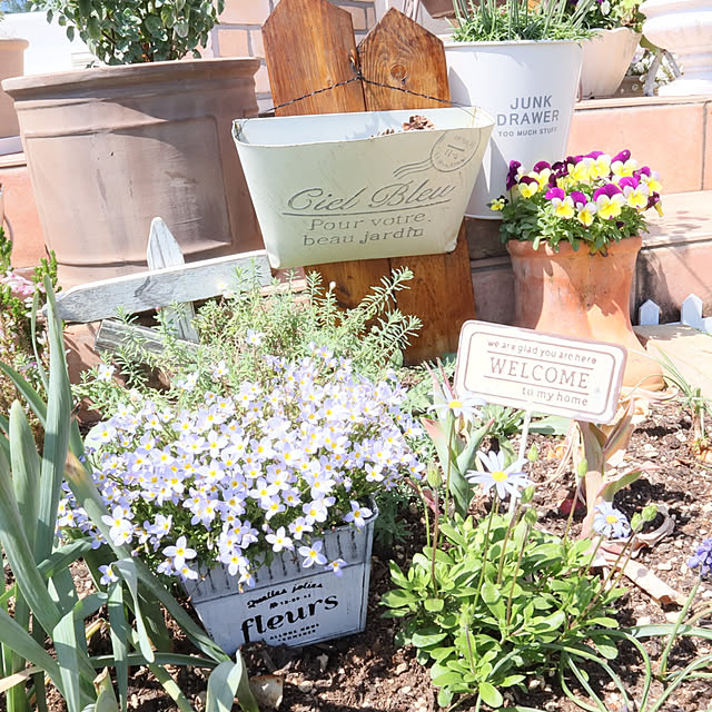 Entrance,手作り花壇,DIY,レンガ,花のある暮らし,植物のある暮らし,お花のある暮らし,ガーデン雑貨,おうち時間,ハーブのある暮らし,わたしの趣味時間,多肉植物,ひな草,seria,ナチュラルガーデン,南欧風,ミント,漆喰壁,お花は癒し,テラコッタタイル S.homeの部屋