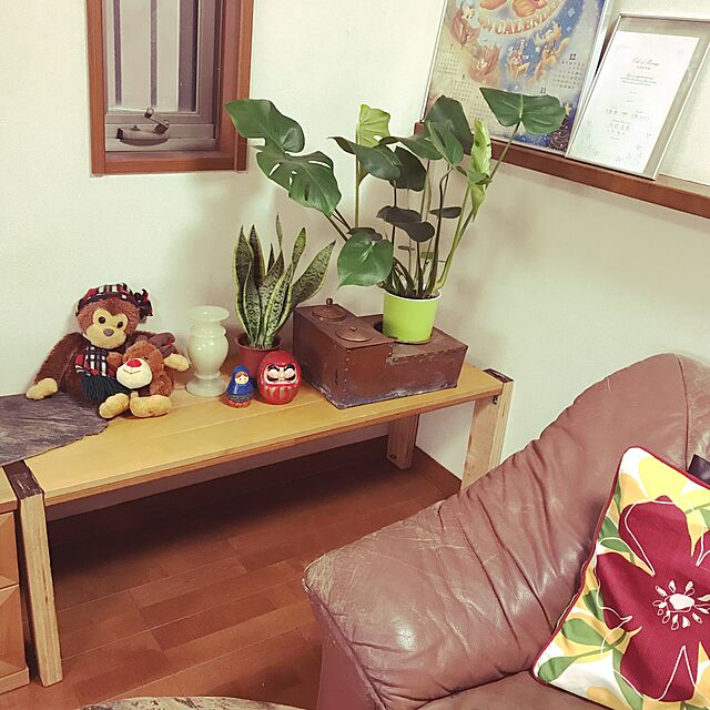 Lounge,DIY,ナチュラル,植物,観葉植物,モンステラ tornadeの部屋