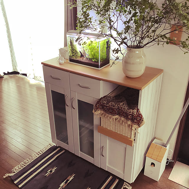 Kitchen,ドウダンツツジの枝,アクアリウム初心者,生活感をなくしたい,子供と暮らす家,赤ちゃんのいる暮らし,ニトリ,モノトーン,中古住宅,観葉植物,DIY Mamiの部屋