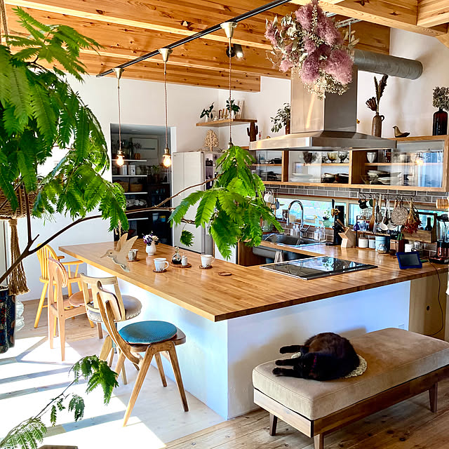 Kitchen,素材,ナチュラル,カフェ風,花のある暮らし,植物大好き,カフェ風インテリア,古道具のある暮らし,コの字キッチン,黒いのはジジです green.green.greenの部屋
