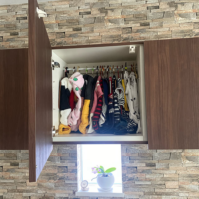 My Shelf,つっぱり棒,犬2匹,ダイソー monokoの部屋