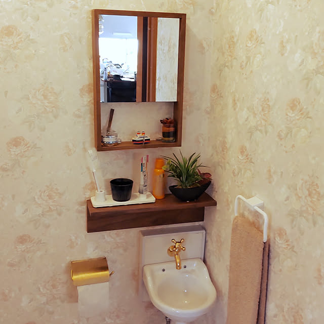 Bathroom,ニトリ,ウォールシェルフ,アルブルL45MBR,多孔質セラミックトレー,吸水セラミック歯プラシスタンド qemonの部屋