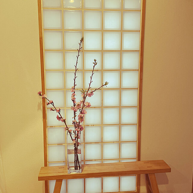 ニトリ,無印良品,木製ベンチ,河津桜,Entrance nahonの部屋
