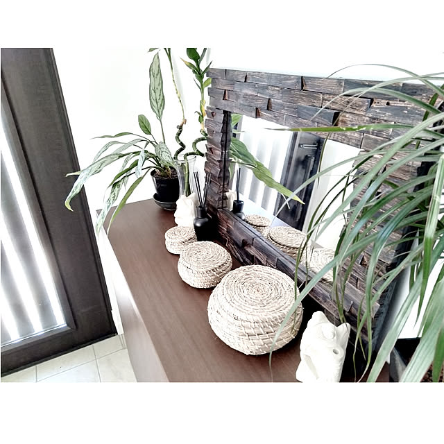 Entrance,ディスプレイコーナー,観葉植物,ダークブラウン部,ブラウン×ホワイト×ナチュラル,建売住宅,建売,コメントお気遣いなく♡,返信前にｺﾞﾒﾝﾅｻｲ > <,ダイソーディフューザー,IKEA,アジア工房,ミラー,靴箱の上 kodaminの部屋