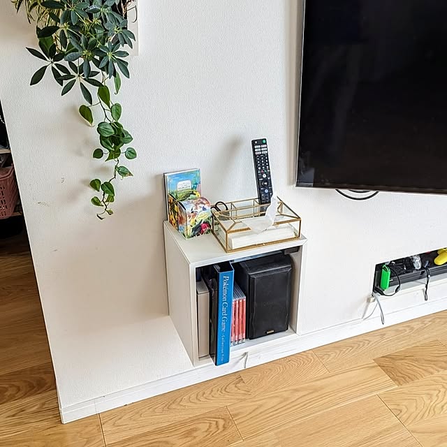 My Shelf,リモコンの置き場所,アジア工房,あじあ工房,イケア,IKEA,壁面収納,浮かせる収納,壁掛けテレビ,エーケト,ポケカ,ポケカ収納,生活雑貨,ティッシュケース,ミドリエ midorie,ミドリエ,壁掛けグリーン,リモコンラック,キャビネット,EKET,Switch,いいねありがとうございます,壁掛けフレームスクエア,間仕切り壁,スピーカー収納,テレビのリモコン tomatopapaの部屋
