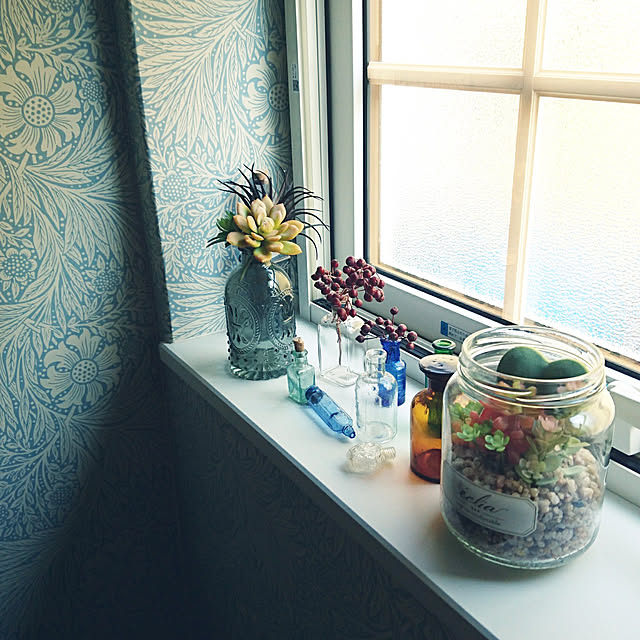 Bathroom,壁紙,多肉植物,フェイクグリーン,Ampoule,ウィリアムモリスの壁紙,アンティーク雑貨,消臭,ガラス瓶コレクション,CT触媒,野ばらの実 longneiの部屋