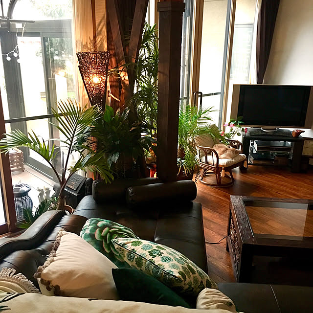 インテリアになる観葉植物94選 大型から小型まで Roomclip Mag 暮らしとインテリアのwebマガジン