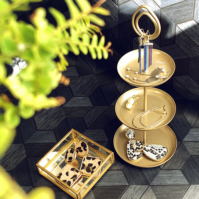 Lounge,アクセサリー収納,モニター,ゴールド,アクセサリートレイ,アクセサリースタンド,モニター商品,アクセサリー見せる収納,季節を楽しむ,春インテリア,デコホーム,おうち時間,モニター当選,モニター投稿,モニター当選ありがとうございます,ニトリデコホーム,モニター中,暮らしのハンドブック2024,日当たり良好,マンション暮らし,南向き,オシャレ雑貨,プチプラ雑貨,プチプラ,ミラートレイ,指輪収納,指輪置き,みせる収納,見せる収納,小物置き moonの部屋