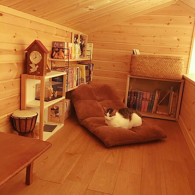 猫の寝床,ねこのいる風景,山小屋風,屋根裏部屋,平屋の家,漆喰壁,平屋,On Walls,無垢の床,板張り momochiyoの部屋