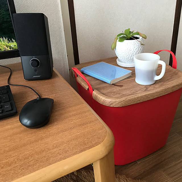 BOSEスピーカー,ファイヤーキングマグ,スタックストー,観葉植物,一人暮らし,My Desk,サイドテーブル maeshiroの部屋