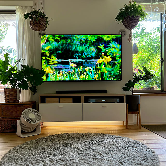 IKEA 雑貨,ラグマット,観葉植物,BESTÅ ベストー,フロートテレビボード,壁掛けテレビ,花のある暮らし,ホスタ,ベランダガーデン,NO GREEN NO LIFE,ハンギンクプランツ,間接照明,IKEAテレビ台,IKEA,テレビ周りの収納,癒し,マンション暮らし,窓辺の風景,グリーンのある暮らし,Overview,2023.10.6mag掲載 pooの部屋