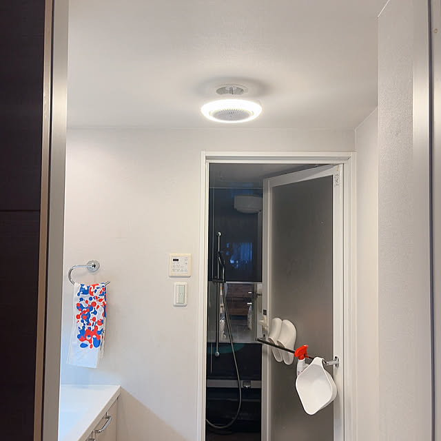 Bathroom,照明,グリーン,間接照明,癒し,心地よい暮らし,快適な暮らし,コメントお気遣いなく(⁎ᴗ͈ˬᴗ͈⁎),(*˘︶˘*).｡.:*♡,いきなり登場〜,シーリングファン,ドウシシャ,サーキュライト,CIRCULIGHT,暮らしのハンドブック2024 n.kiki.aの部屋