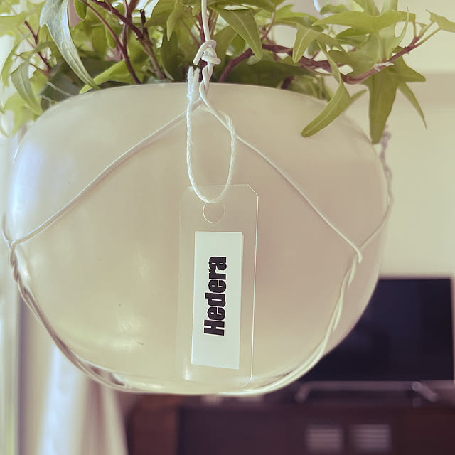 ラベリング,植物,植物のある暮らし,植物の名前をラベリング,ハンギンググリーン,針金でマクラメ作ってみました,アイビー,へデラ,マンションインテリア,観葉植物,北欧,グリーンのある暮らし,ハンギングプランター,観葉植物のある暮らし nanakoの部屋