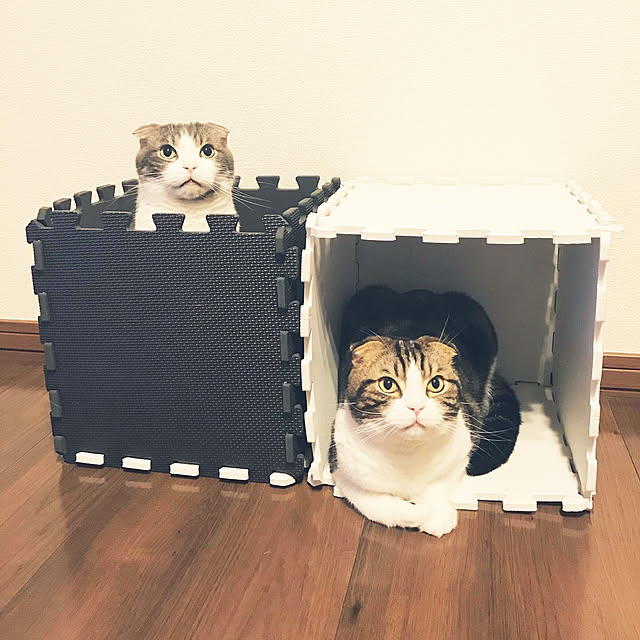 猫ハウス,ジョイントマット,ダイソー,ねこのいる日常,ねこと暮らす。,insta→tansuke0323,白黒,モノトーン,Bedroom tansukeの部屋