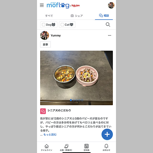 Kitchen,楽天,ペットと暮らす,ペットのいる暮らし,moflog,モフログ Y33355の部屋