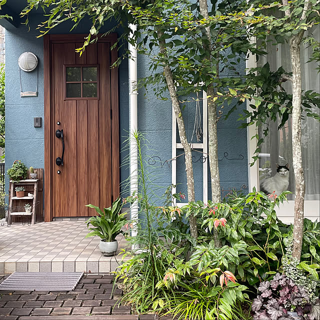 Entrance,玄関ドアリフォーム,LIXIL玄関ドア,フォロワーさんに感謝♥,ガーデニング,ドライフラワー,庭の植物,ビフォーアフター,イベント参加,ネコのいる暮らし,夫に感謝,ネコ姉弟,ビー 弟 白黒,複数枚投稿 nobikoの部屋