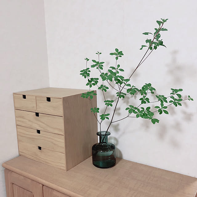 Entrance,一輪挿し,木目調,木製品,ドウダンツツジ,グリーンのある暮らし,KEYUCA katoponの部屋
