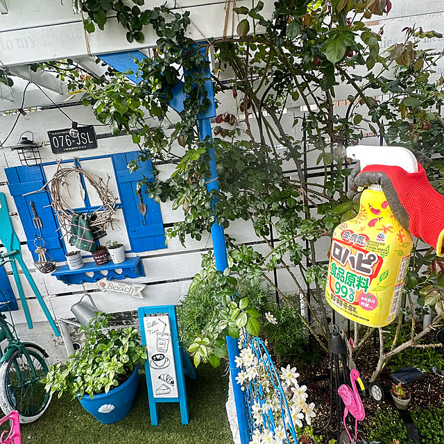 Entrance,チューレンバチ予防,食品原料でできた殺虫、殺菌剤,フェンス DIY,パーゴラDIY,ロハピ,油虫予防,黒星病予防,クレマチス,ピエールドゥロンサール,ガーデニング,手作りの庭,花壇 手作り,花のある暮らし,害虫対策,庭のある暮らし,モニター投稿,アースガーデン,新生活応援ガイド2026,植物の病気予防,リゾート風,枝で作ったリース,ソーラーLEDライト,紫陽花,お家カフェ風,窓枠DIY,アイアンフェンス,ダイソー,スタンダードプロダクツ,フィリップスソーラーライト Megumiの部屋
