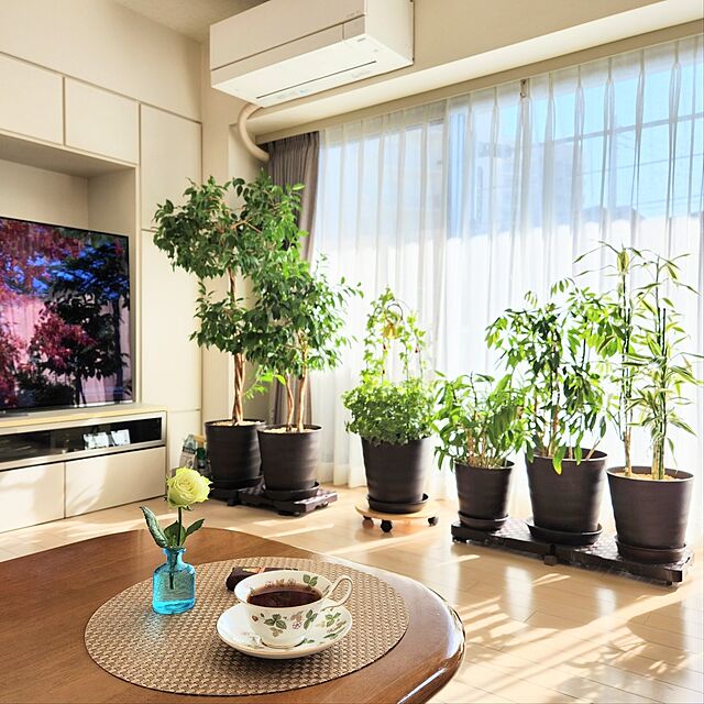 ティータイム,グリーン,癒し,リビングテーブル,クリスマス,一輪挿し,マンション暮らし,窓辺のグリーン,観葉植物のある暮らし,三菱エアコン,ウェッジウッド ワイルドストロベリー,ティーカップ & ソーサー,SONY 有機EL65型,東京インテリアのカーテン,ミドリのバラ,壁面収納,生花のある暮らし,くつろぎ時間,Lounge,インテリアグリーン love1017の部屋