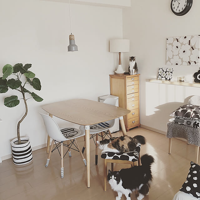 フェイクグリーン,ニトリ,NO CAT,NO LIFE❤️,マンション暮らし,2人と3匹暮らし,マリメッコ,北欧,大人可愛い,シンプルに暮らす,シンプリスト,ねこと暮らす。,ファブリックパネル,Overview sumosarozaの部屋