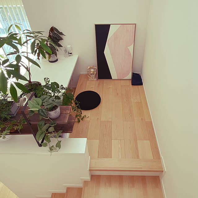 Lounge,お家見直しキャンペーン,スキップフロア,すっきり暮らしたい,ていねいな暮らしがしたい,観葉植物,植物のある暮らし ron-anの部屋