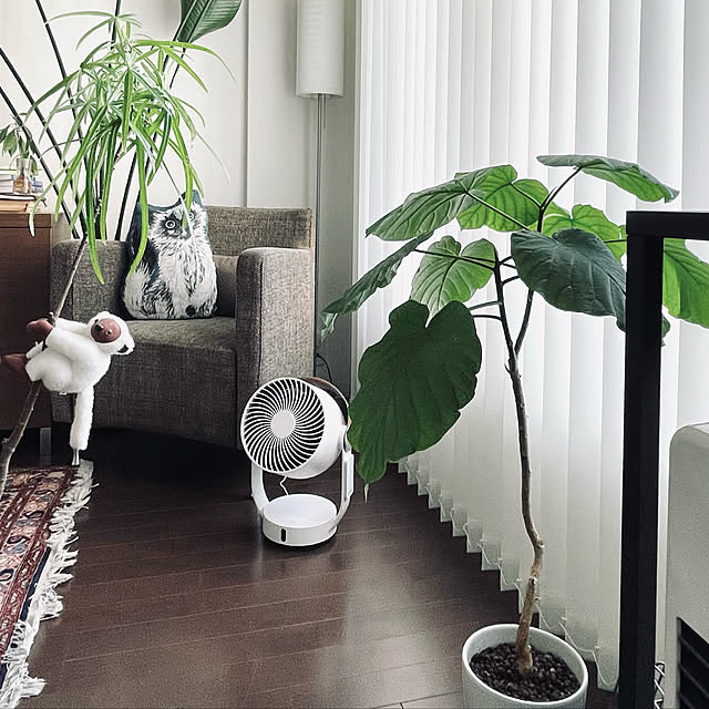 サーキュレーター,スタドラーフォーム,RoomClipショッピング,おうち見直しキャンペーン,Lounge,観葉植物,ボトルツリー,ウンベラータ hiloの部屋
