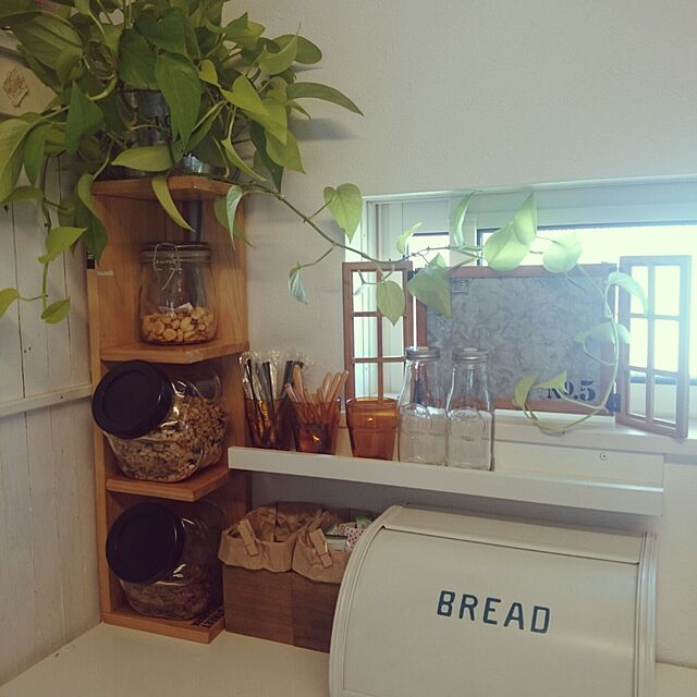 Kitchen,DIY棚,ﾀﾞｲｿｰ,セリア,サリュ！,こどもと暮らす,観葉植物,小さい平屋 Kumikoの部屋