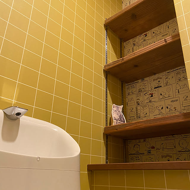 ダボレール,棚DIY,棚柱,ガチャ柱,新居,石膏ボード,DIY,Bathroom,スヌーピー,ガチャレール,WOODPRO足場板,可動棚DIY mikomaruの部屋