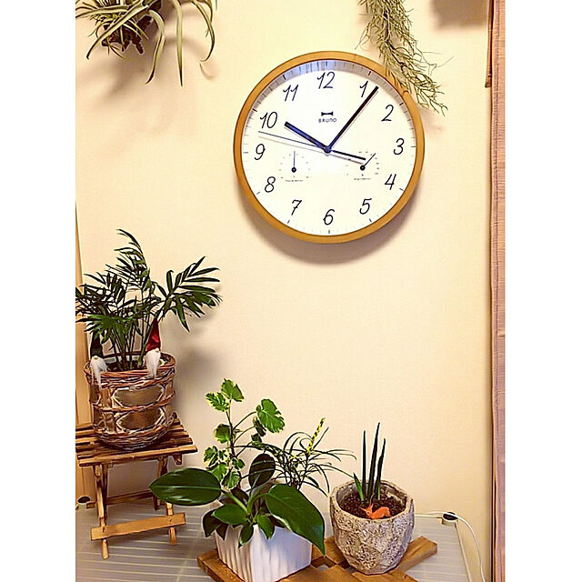 Bedroom,グリーンのある暮らし,おうち時間,＆Green,アンドグリーン,観葉植物のある暮らし,いつもありがとうございます♪感謝☆,BRUNO 時計,RoomClipショッピング,ウェルカムクーポンキャンペーン,ウェルカムクーポン,観葉植物いろいろ,観葉植物,ウェルカムクーポン当選しました,植物のある暮らし akiwaka-roomの部屋