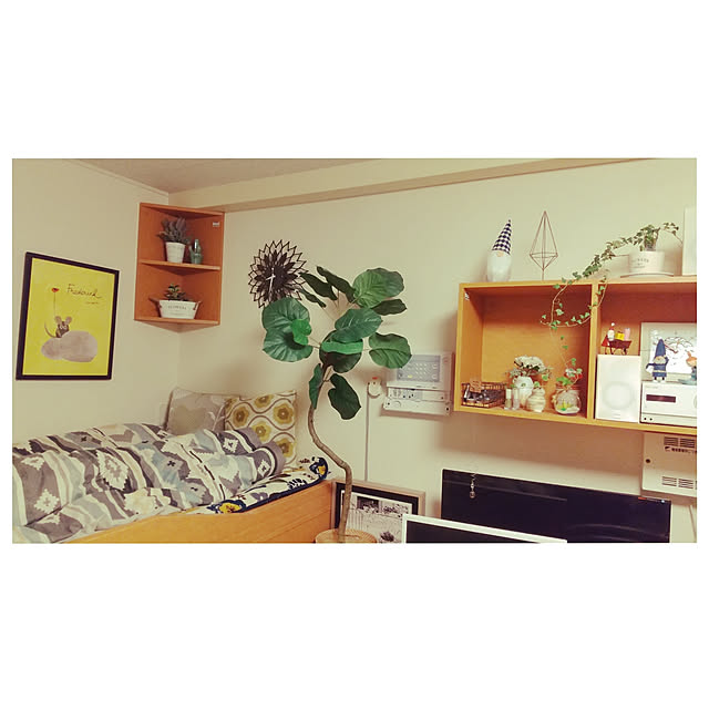 Bedroom,観葉植物,賃貸,転勤族,転勤族の部屋の記録,1K,ひとり暮らし,一人暮らし,まだまだ片付け中,RC九州支部,暮らし感,ワンルームインテリア,レオパレス21,ファブリックインテリア,会社の借上げ賃貸,NO GREEN NO LIFE,ニトリのフェイクグリーン,ウンベラータ,ヘデラ,サボテン,ラベンダー,ポスターのある暮らし,観葉植物のある暮らし carollcarの部屋
