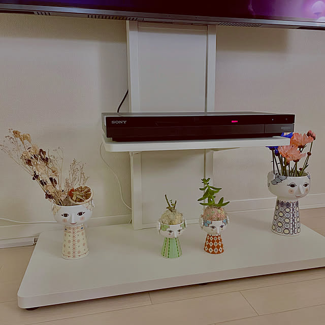 花瓶,お花,ドライフラワー,インテリア,多肉植物,1LDK,ホワイトインテリア,賃貸,おうち時間,ビヨンヴィンブラッド,Lounge hot-milkの部屋