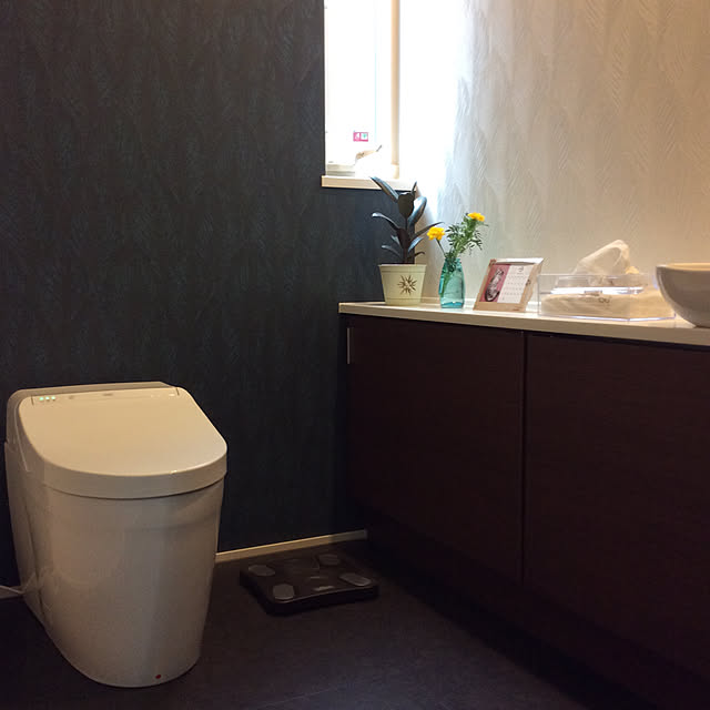 ブラウン,ブルー,アクセントクロス,TOTO,平屋,観葉植物のある暮らし,庭の花,Bathroom,ネオレストNJ2 houenの部屋
