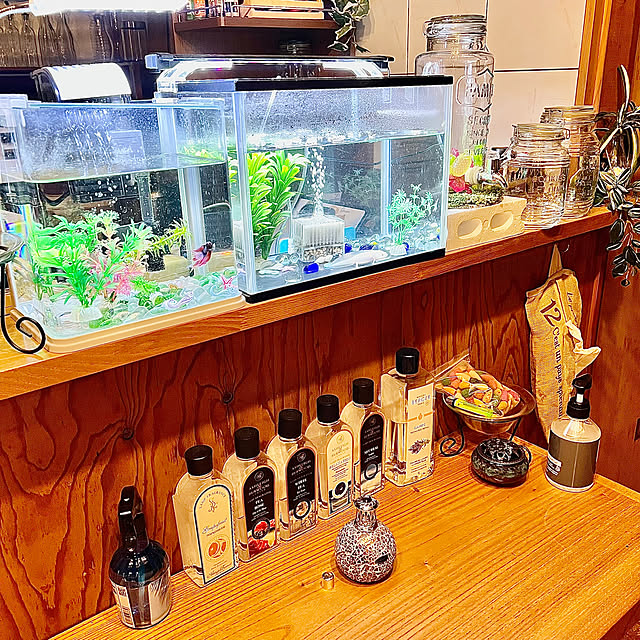 Lounge,ガラス,熱帯魚,ペット,ダイソー,100均,ニトリ,セリア,フェイクグリーン coyumieの部屋