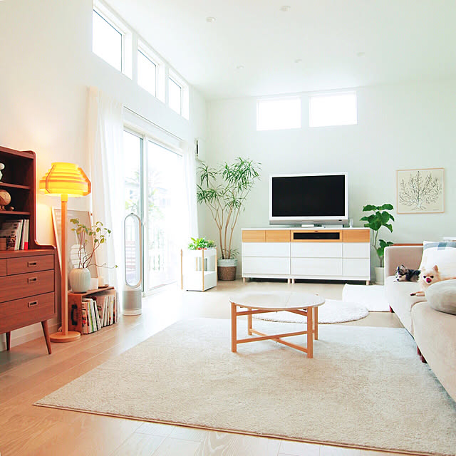 Lounge,犬のいる暮らし,オーダー家具,ホワイトインテリア,高窓,注文住宅,北欧インテリア,北欧雑貨,北欧ナチュラルモダン,間接照明,リビングルーム,枝もの,観葉植物,artek,ヤコブソンランプ,ケーラー,イッタラ soraniwaの部屋