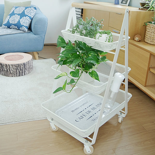 On Walls,キッチンワゴン,IKEAのワゴン,RISATORP,グリーンのある暮らし,観葉植物 Shooowkoの部屋