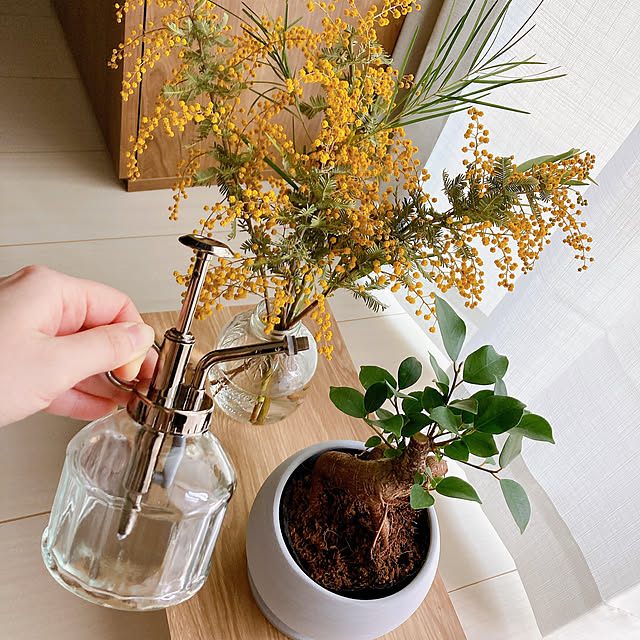 霧吹き,木目調,観葉植物のある暮らし,観葉植物,アンティーク,Standard Products,My Shelf sunnyの部屋
