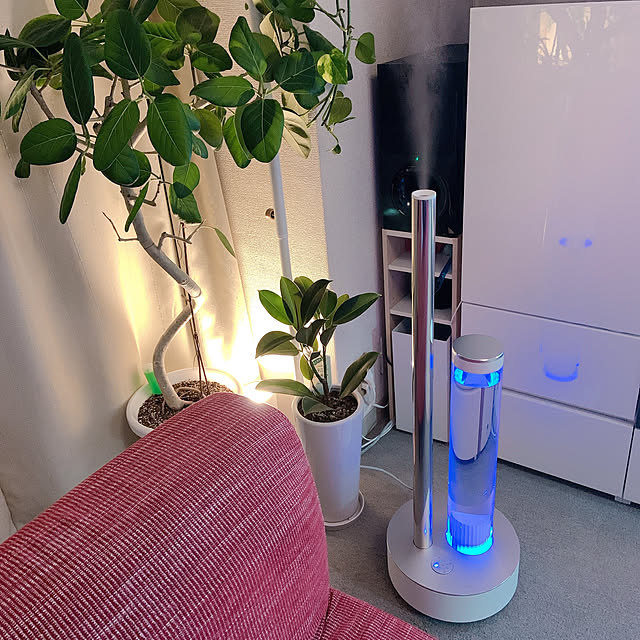 STEM630i,cado加湿器,買ってよかったもの,観葉植物,ホワイトインテリア,賃貸マンション,間接照明✨,いつも見てくださって、感謝です♡,RoomClipの出逢いに感謝♡,高齢犬のいる生活,白がすき♡,Lounge,加湿器 Emafuの部屋