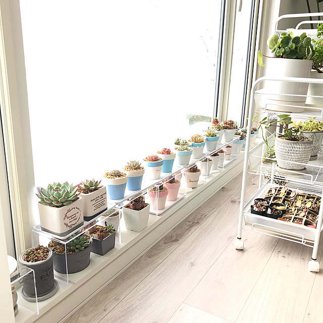 花と緑のある暮らしがもっと楽しくなる 素焼きの鉢リメイク By Unichanさん Roomclip Mag 暮らしとインテリアのwebマガジン