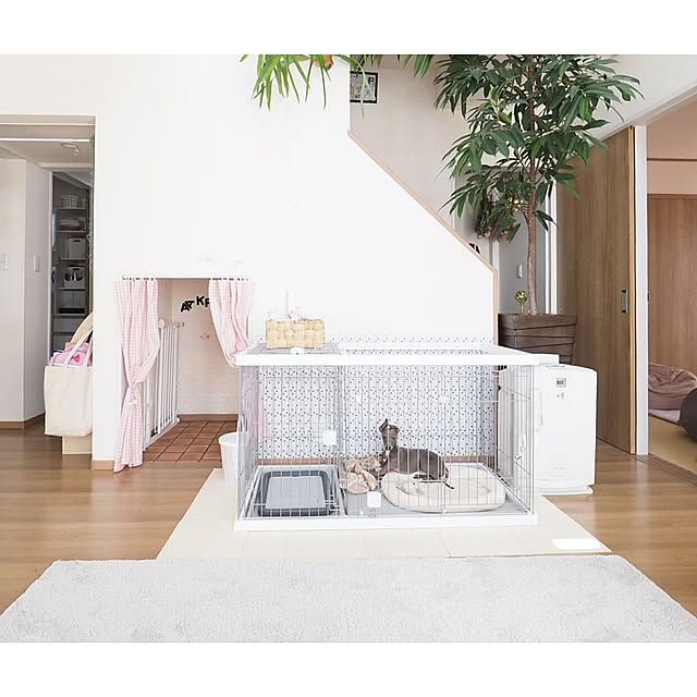 【無料モニター】愛犬のトイレのしつけができる♪インテリアになじむドッグルームサークルを使ってみたい方、大募集！